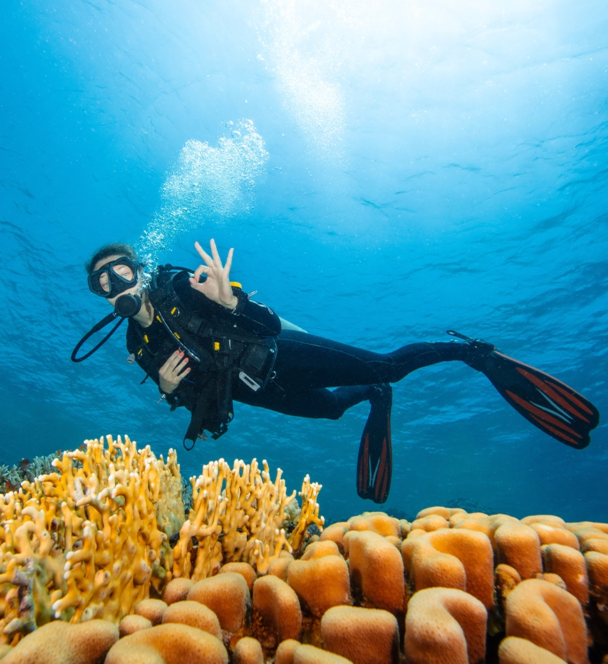 Scuba Diving in Malapascua